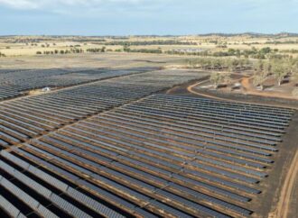 Wellington North solar farm grass fire burns almost 100ha