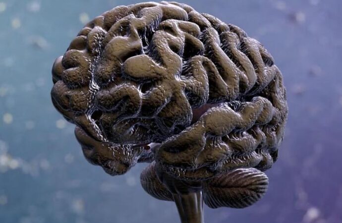 Alzheimer’s disease in Australia