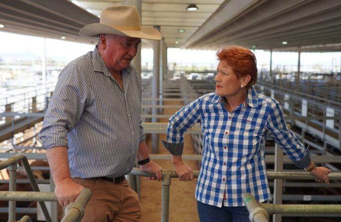 One Nation support soars to highest ever, voters divided on Barnaby Joyce: polling